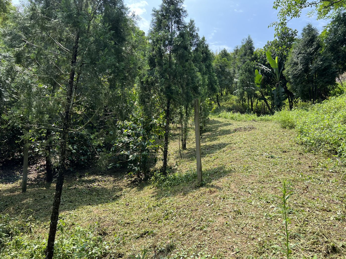 Our herbal eco-farm