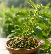 Stevia